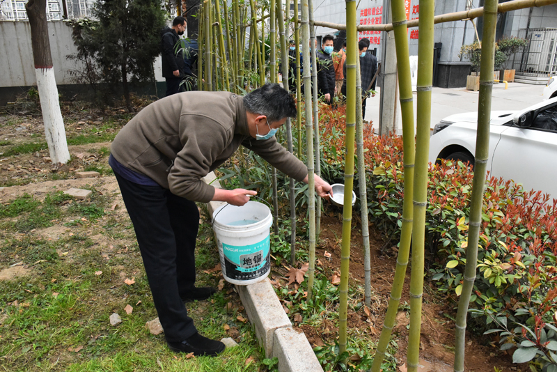 義務(wù)植樹(shù)活動(dòng)